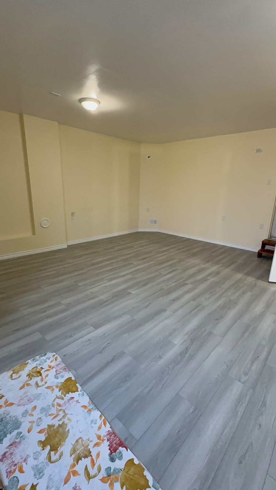 Large Basement Room Finish by Reliance Contracting 168